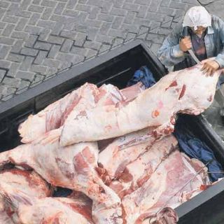 Presumen cero casos de clenbuterol durante los Panamericanos