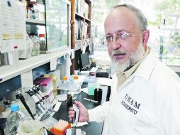 Alejandro Alagón, del Instituto de Biotecnología de la UNAM, creó el antiveneno para las picaduras de alacrán. EL UNIVERSAL  /