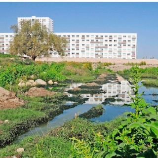 Infracciones a la Villa no tienen sustento: Sisniega