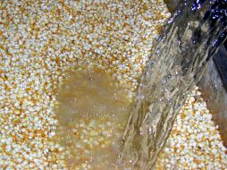 El ácido ferúlico obtenido es utilizado en la elaboración de productos nutracéuticos. ID  /