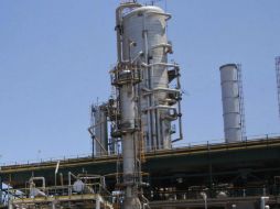 Greenpeace señala que Brasil podría quedar en tercer lugar después de Estados Unidos y China. ARCHIVO  /