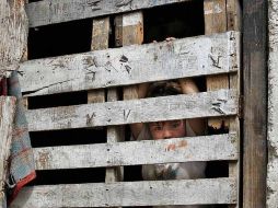 El ingreso medio del 10% de los más ricos es 26 veces mayor que el ingreso del 10% de los más pobres. ARCHIVO  /