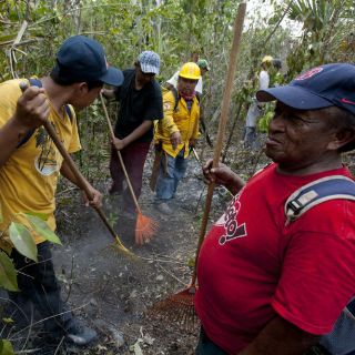 Canalizan 416 MDP al sector forestal de Jalisco en 2011