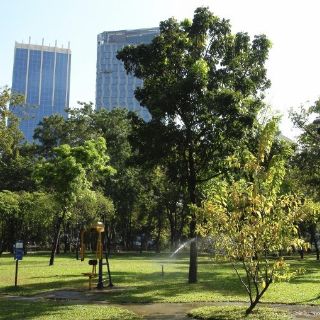 Bangkok defiende sus árboles de la vorágine del hormigón y los rascacielos