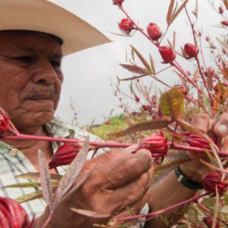 Encuentran cuerpo de activista de Movimiento por la Paz