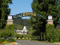 Imagen de los viñedos propiedad del cineasta Francis Ford Coppola, uno de los negocios en los que invierte su dinero. ESPECIAL  /