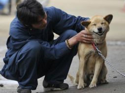 Un evacuado por el terremoto y tsunami del pasado mes marzo en Japón acaricia a un perro en un refugio. AFP  /