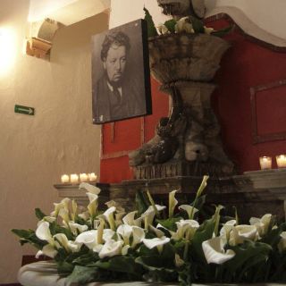 Docenas de alcatraces para celebrar a Diego Rivera