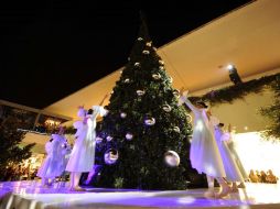 Aunque el árbol no es una tradición de nuestra cultura, son muchos los hogares en México que han adoptado este adorno.  /