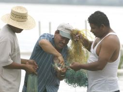 El curso estuvo dirigido para productores, personal técnico de Sagarpa y Seder.  /