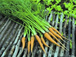 Optar por alimentos naturales es el inicio de una vida sana. ESPECIAL  /