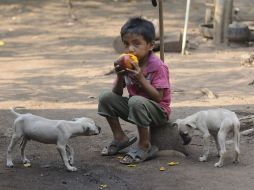 Los proyectos van orientados a alimentar a niños de escasos recursos, protección contra la narcoviolencia y ayuda a indígenas. AP  /