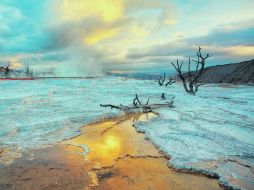 Mammoth Hot Springs. Una colina en forma de terrazas escalonadas y un desierto blanco petrificado. EL UNIVERSAL  /