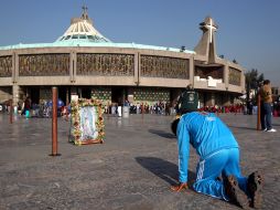 Como cada año millones de fieles rinden tributo a la que también llaman 'la santa patrona de México'.  /