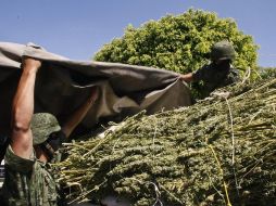 La droga se decomisó en coordinación con el Ejército mexicano y la Policía Federal Preventiva. ARCHIVO  /
