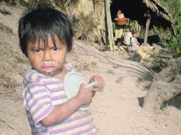 La falta de hierro puede provocar anemia. La enfermedad afecta más a menores de zonas de bajos recursos. ESPECIAL  /