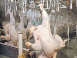 La demanda de pavo crece 24% respecto al año anterior. NTX  /