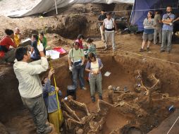 En el lugar también fueron hallados proyectiles de armas de fuego, restos de ropa y calzado. EFE  /