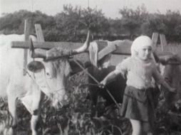 Se presentarán películas como 'El largo viajes hacia la ira' y 'El campo para el hombre (foto)'. ESPECIAL  /