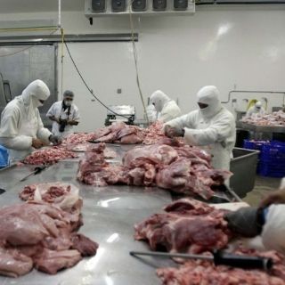 Industria alimenticia, líder en empleo manufacturero