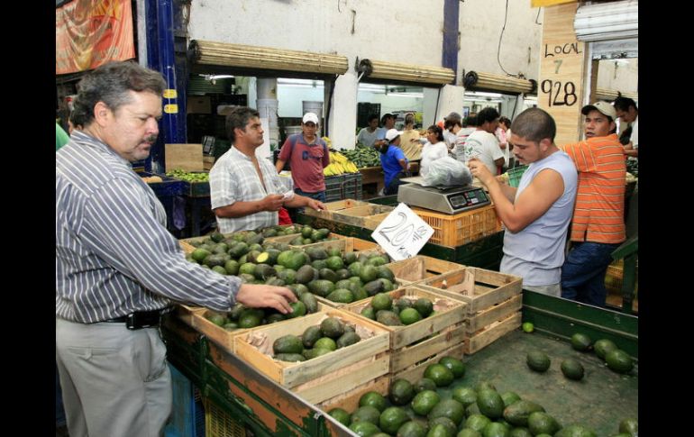 El aguacaté será uno de los productos agrícolas más afectados por el TLC con Perú.  /