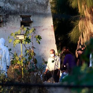 Debe erradicarse FEG: Castro Reynoso