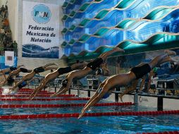 México aspira al mayor número de medallas en la historia de la natación rumbo a los Juegos Olímpicos de Londres 2012.  /