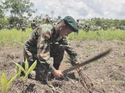 La cúpula policial nicaragüense admitió que 17 bandas organizadas respaldan a las ''narcomafias'' mexicanas. EFE  /