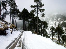 La reunión de Durban buscaba llegar a un acuerdo climático global que preservara el medio ambiente. ARCHIVO  /