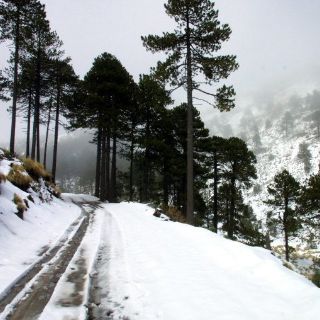 Acuerdo de Durban fue por convicción: Ribera