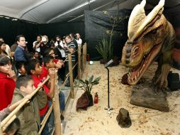 El presidente municipal de Guadalajara, Aristóteles Sandoval, acudió a la exposición de Dinosaurios Animatronics acompañado de niños.  /