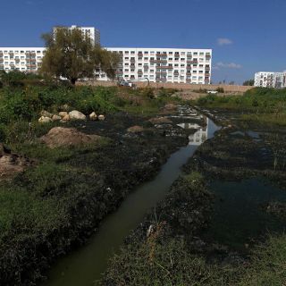 Jesús Casillas propone la creación de un Tribunal Ambiental
