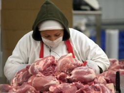 Resaltan que ahora las muestras realizadas en carne sospechosa, tienen un mayor índice de confiabilidad. ARCHIVO  /