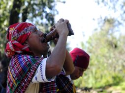 Sacerdotes y guías espirituales indígenas guatemaltecos realizaron ceremonia sagrada. EFE  /