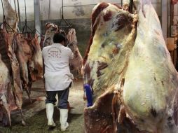 Los países-blanco de las exportaciones son Japón con la compra de casi 60 mil toneladas, seguido de Estados Unidos y Rusia.  /