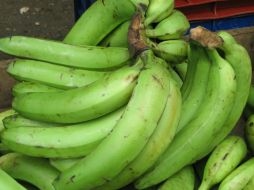 Con este alimento pueden desarrollarse productos con menor aporte calórico. ID  /