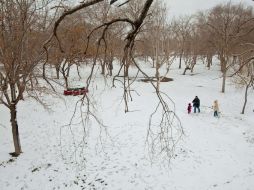 Ciudad Juárez, en Chihuahua, lució hoy nevada. Se espera más nieve en el estado durante el fin de semana. AFP  /