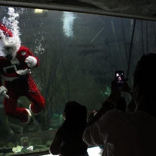 Santa Claus acuático causa sensación en Guadalajara