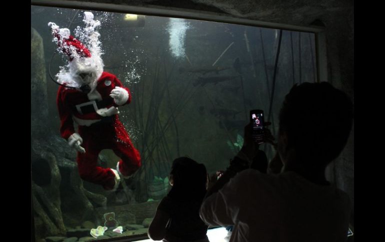 Santa se sumerge equipado con mangueras de oxígeno a una pecera e interactúa con los visitantes durante 30 minutos. EFE  /