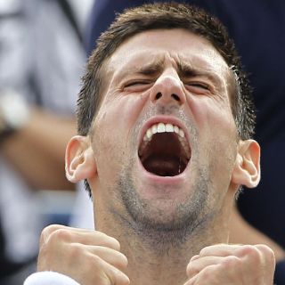 El año inigualable de Novak Djokovic