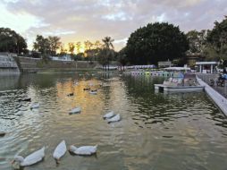 El Parque Rehilete Alcalde, uno de los predios en proceso de regularización para formar parte del patrimonio del municipio tapatío.  /