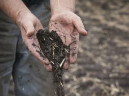 El objetivo es aprovechar el nitrógeno, fósforo, potasio, micronutrientes y la materia orgánica. ID  /