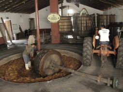 Se tendrán espacios para proyectos de investigación en agave por las empresas y universidades. ARCHIVO  /