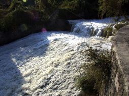 Flotando sobre las aguas del río, el cadáver fue encontrado por una brigada de bomberos.  /