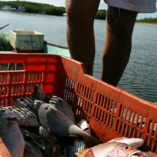 Rescatan a pescadores después de siete días en altamar