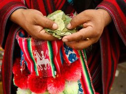 Los indígenas y campesinos bolivianos mantienen la práctica de masticar la hoja de coca. AP  /
