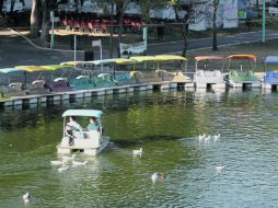 Probablemente son los paseos en lancha y en tren los más característicos de este parque inaugurado el 30 de diciembre de 1961.  /