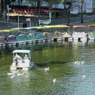 Parque Alcalde, el lugar de la nostalgia