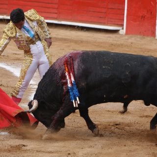 'El Chihuahua' triunfa en la México