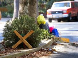 Aunque muchos árboles son tirados, de éstos se pueden reciclar sus bases de plástico, de madera y el acero de los clavos.  /